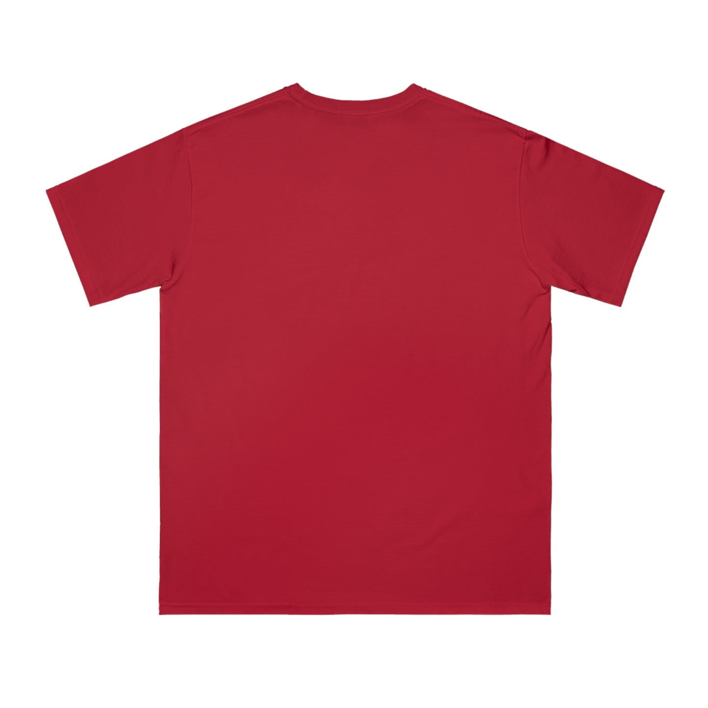 Copy of 'I Sungaze'_100% Organic Cotton T-Shirt
