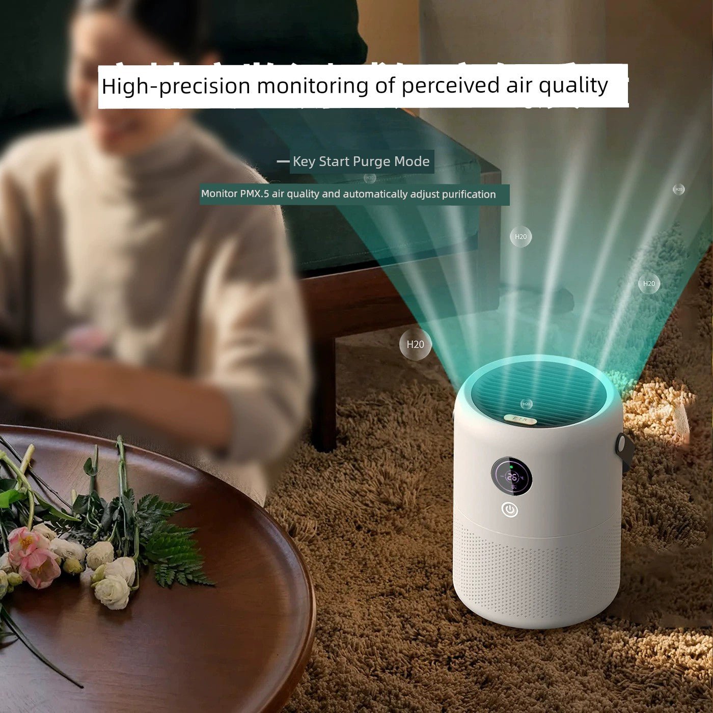 High - Efficiency Air Purifier with HEPA Filter for Home and Office - My Higher Being