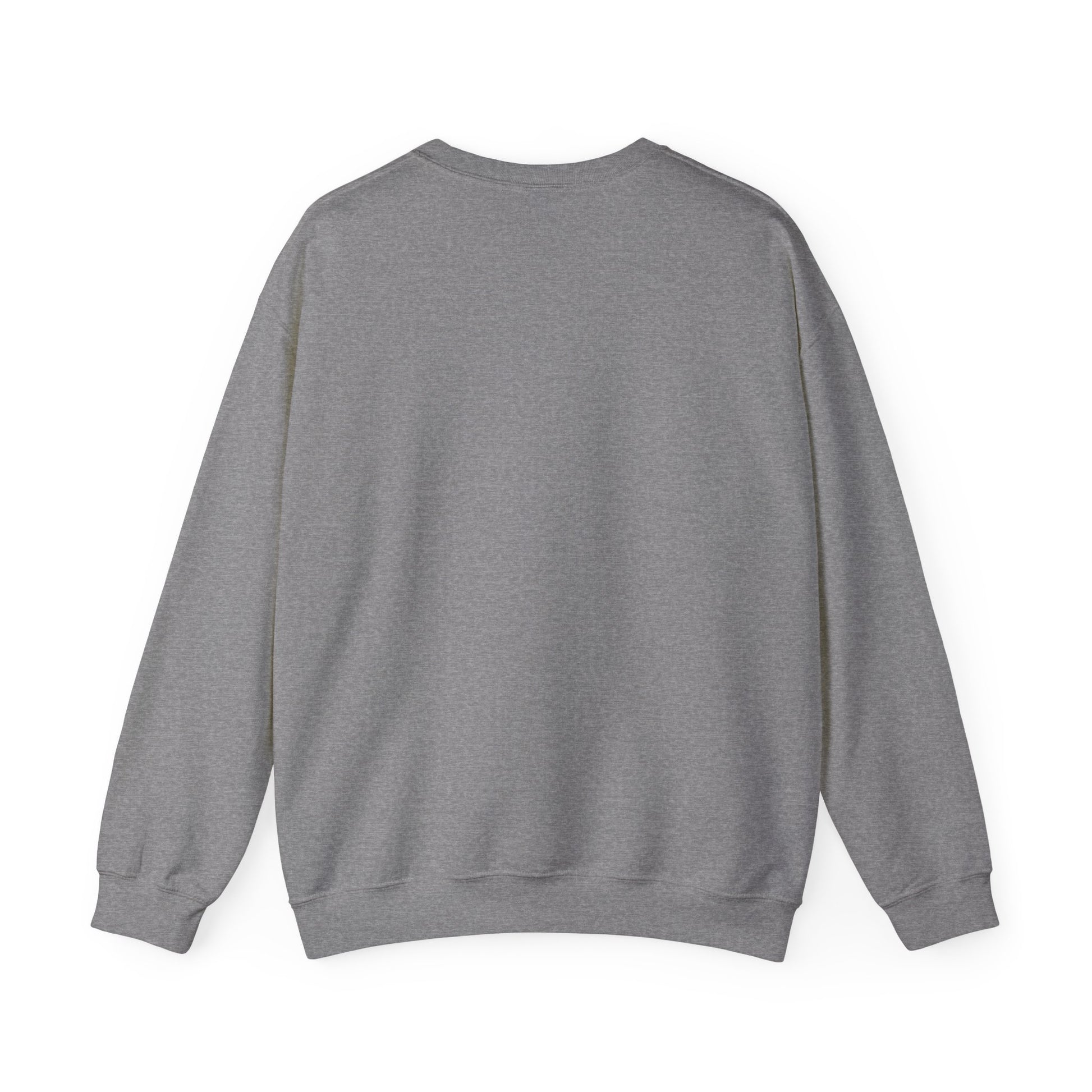 I Hydrate Woman's Sweatshirt_91 oz/day - My Higher Being