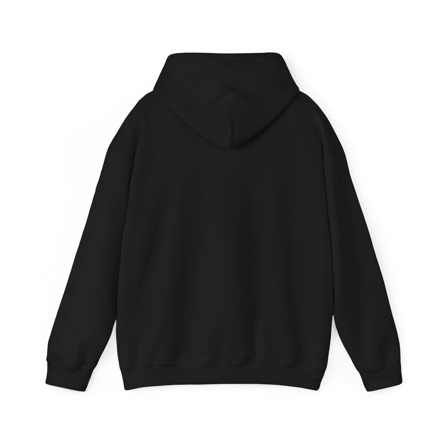 I Hydrate Woman's Hoodie_91 oz/day - My Higher Being