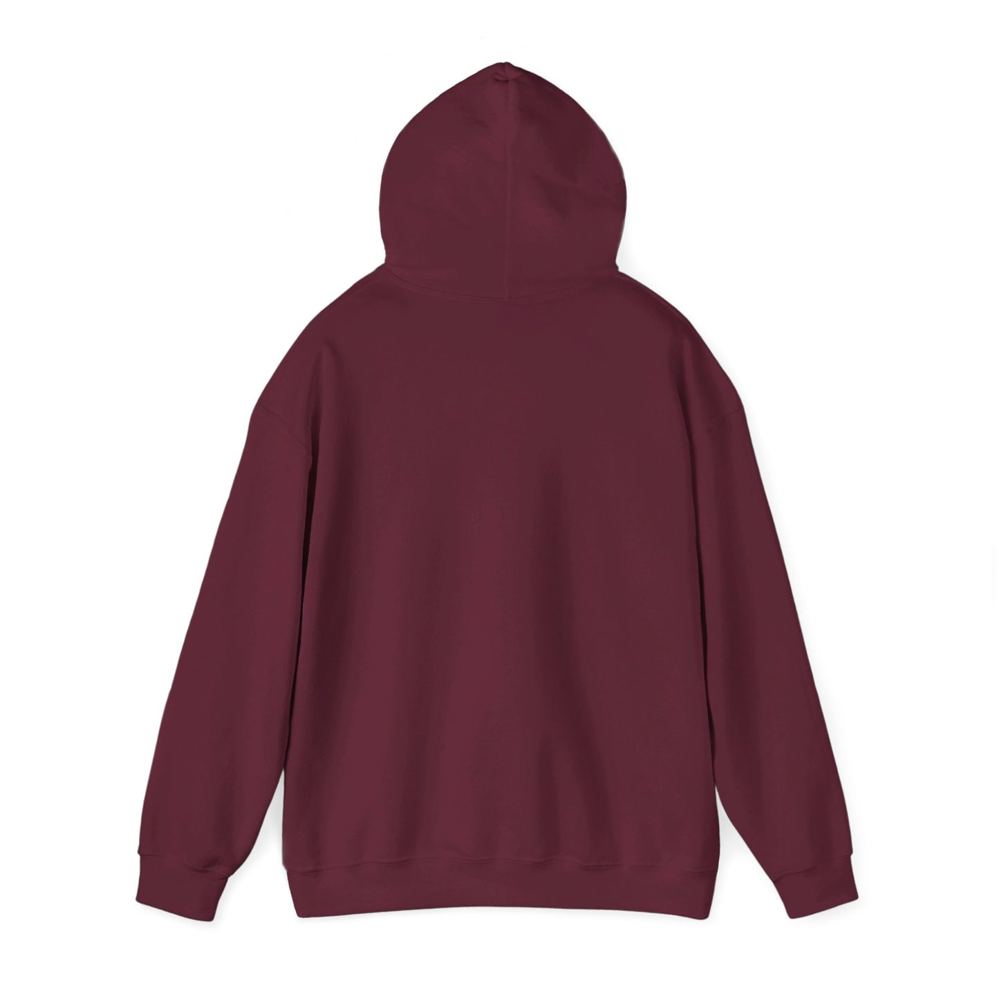 I Sungaze Woman's Hoodie - My Higher Being